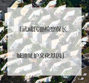 武威民勤检察保长城遗址护文化基因