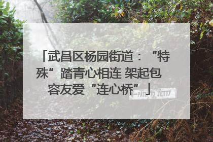 武昌区杨园街道：“特殊”踏青心相连 架起包容友爱“连心桥”