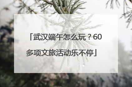 武汉端午怎么玩？60多项文旅活动乐不停