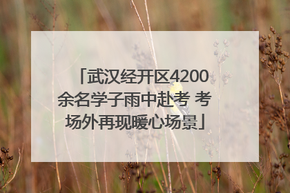 武汉经开区4200余名学子雨中赴考 考场外再现暖心场景