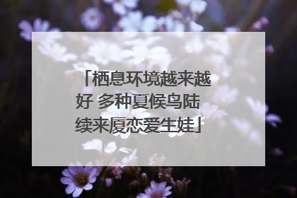 栖息环境越来越好 多种夏候鸟陆续来厦恋爱生娃