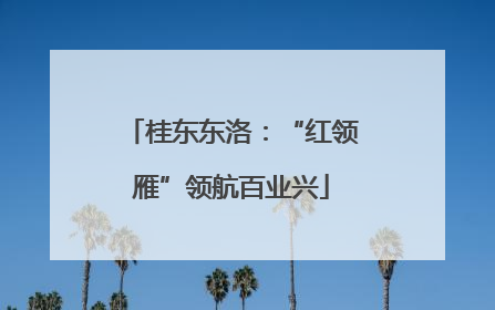 桂东东洛：“红领雁”领航百业兴
