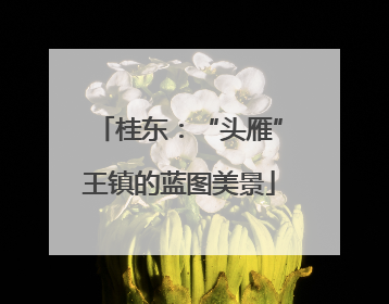 桂东：“头雁”王镇的蓝图美景