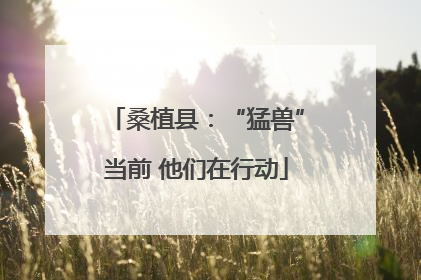 桑植县：“猛兽”当前 他们在行动