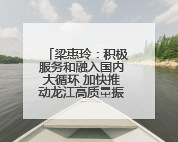 梁惠玲：积极服务和融入国内大循环 加快推动龙江高质量振兴发展