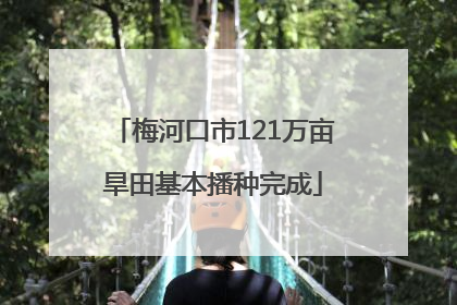 梅河口市121万亩旱田基本播种完成