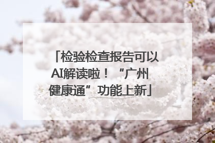 检验检查报告可以AI解读啦！“广州健康通”功能上新