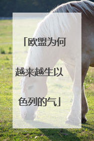 欧盟为何越来越生以色列的气
