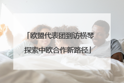 欧盟代表团到访横琴 探索中欧合作新路径