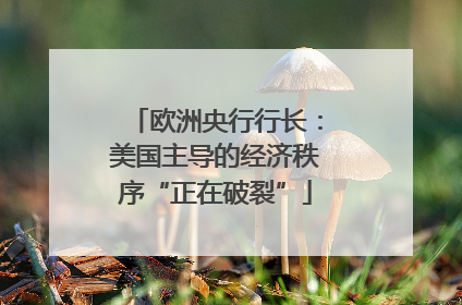 欧洲央行行长：美国主导的经济秩序“正在破裂”