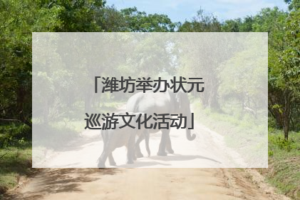 潍坊举办状元巡游文化活动