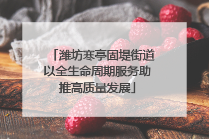 潍坊寒亭固堤街道以全生命周期服务助推高质量发展