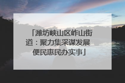 潍坊峡山区岞山街道：聚力集采谋发展 便民惠民办实事