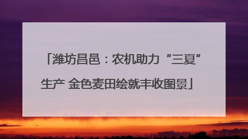 潍坊昌邑：农机助力“三夏”生产 金色麦田绘就丰收图景