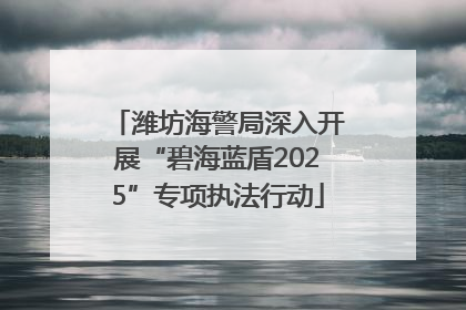 潍坊海警局深入开展“碧海蓝盾2025”专项执法行动