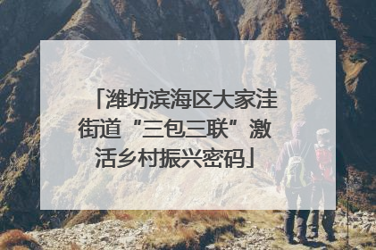 潍坊滨海区大家洼街道“三包三联”激活乡村振兴密码