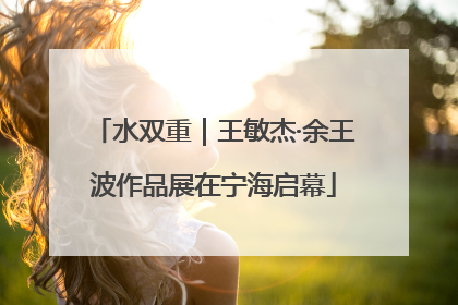 水双重｜王敏杰·余王波作品展在宁海启幕