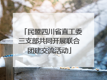 民盟四川省直工委三支部共同开展联合团建交流活动
