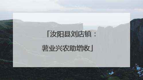 汝阳县刘店镇：薯业兴农助增收
