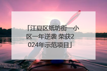 江夏区纸坊街一小区一年逆袭 荣获2024年示范项目