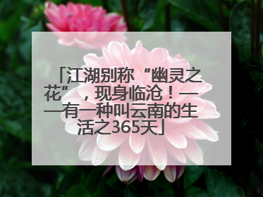 江湖别称“幽灵之花”，现身临沧！——有一种叫云南的生活之365天