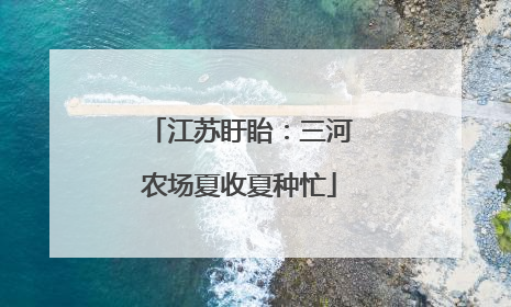 江苏盱眙：三河农场夏收夏种忙