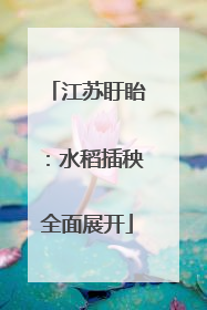 江苏盱眙：水稻插秧全面展开