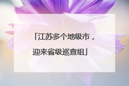 江苏多个地级市，迎来省级巡查组