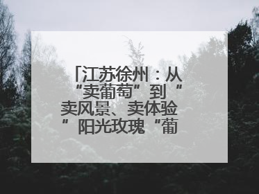 江苏徐州：从“卖葡萄”到“卖风景、卖体验”阳光玫瑰“葡”就致富路