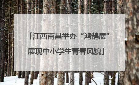 江西南昌举办“鸿鹄展” 展现中小学生青春风貌