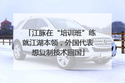 江豚在“培训班”练就江湖本领，外国代表想复制技术回国