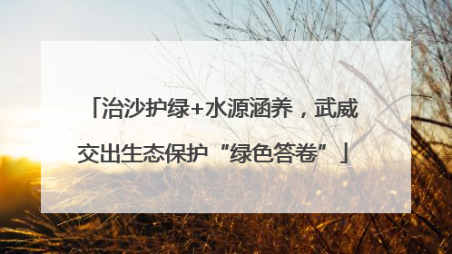 治沙护绿+水源涵养，武威交出生态保护“绿色答卷”