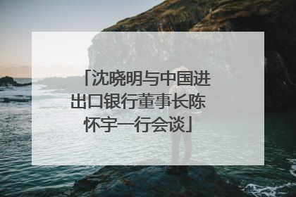 沈晓明与中国进出口银行董事长陈怀宇一行会谈