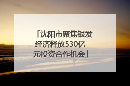 沈阳市聚焦银发经济释放530亿元投资合作机会