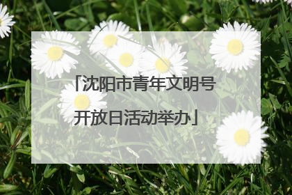 沈阳市青年文明号开放日活动举办