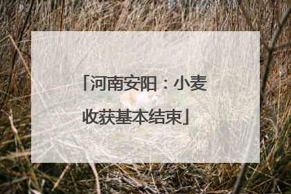 河南安阳：小麦收获基本结束