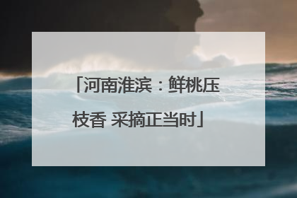 河南淮滨：鲜桃压枝香 采摘正当时
