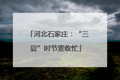 河北石家庄：“三夏”时节麦收忙