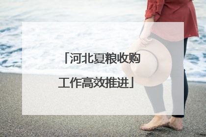 河北夏粮收购工作高效推进