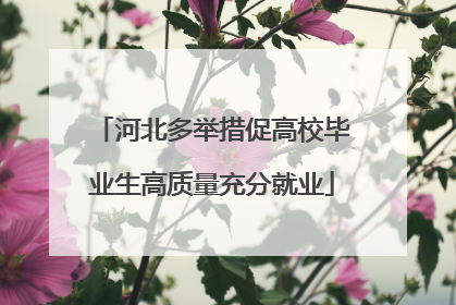 河北多举措促高校毕业生高质量充分就业