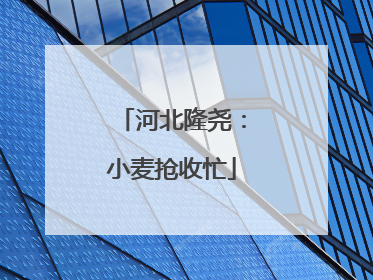 河北隆尧：小麦抢收忙
