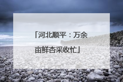 河北顺平：万余亩鲜杏采收忙