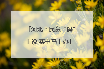 河北：民意“码”上说 实事马上办