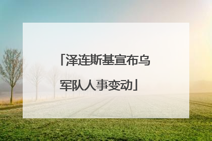 泽连斯基宣布乌军队人事变动