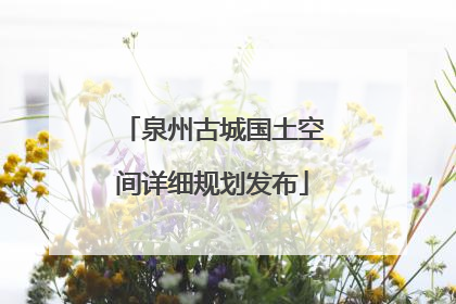 泉州古城国土空间详细规划发布