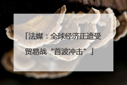 法媒：全球经济正遭受贸易战“首波冲击”