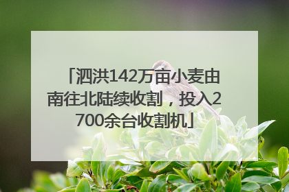 泗洪142万亩小麦由南往北陆续收割，投入2700余台收割机