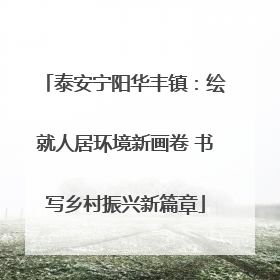 泰安宁阳华丰镇：绘就人居环境新画卷 书写乡村振兴新篇章