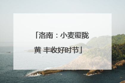 洛南：小麦覆陇黄 丰收好时节