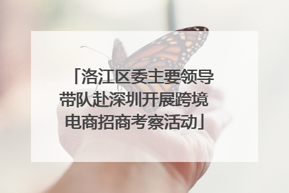 洛江区委主要领导带队赴深圳开展跨境电商招商考察活动